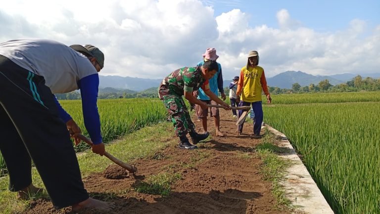 Perlancar Akses Pertanian, Babinsa Kodim Ponorogo Ikut Gotong Royong Perbaiki Jalan Usaha Tani