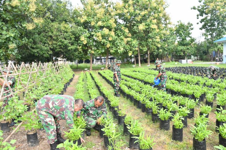Sayuran Kodim Ponorogo Sukseskan Ketahanan Pangan Wilayah