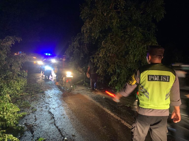 Anggota Polsek Pulung Bersama Inkait Dan Warga Evakuasi Pohon Tumbang Di Jalan Raya Ponorogo-Pulung Desa Sidoharjo