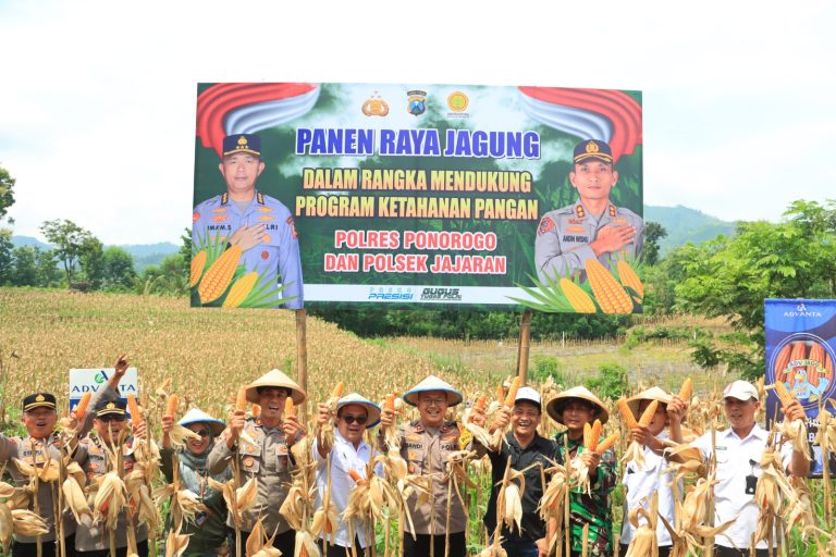 Dukung Ketahanan Pangan, Polres Ponorogo dan Jajaran Laksanakan Panen Raya Jagung di SawooDukung Ketahanan Pangan, Polres Ponorogo dan Jajaran Laksanakan Panen Raya Jagung di Sawoo