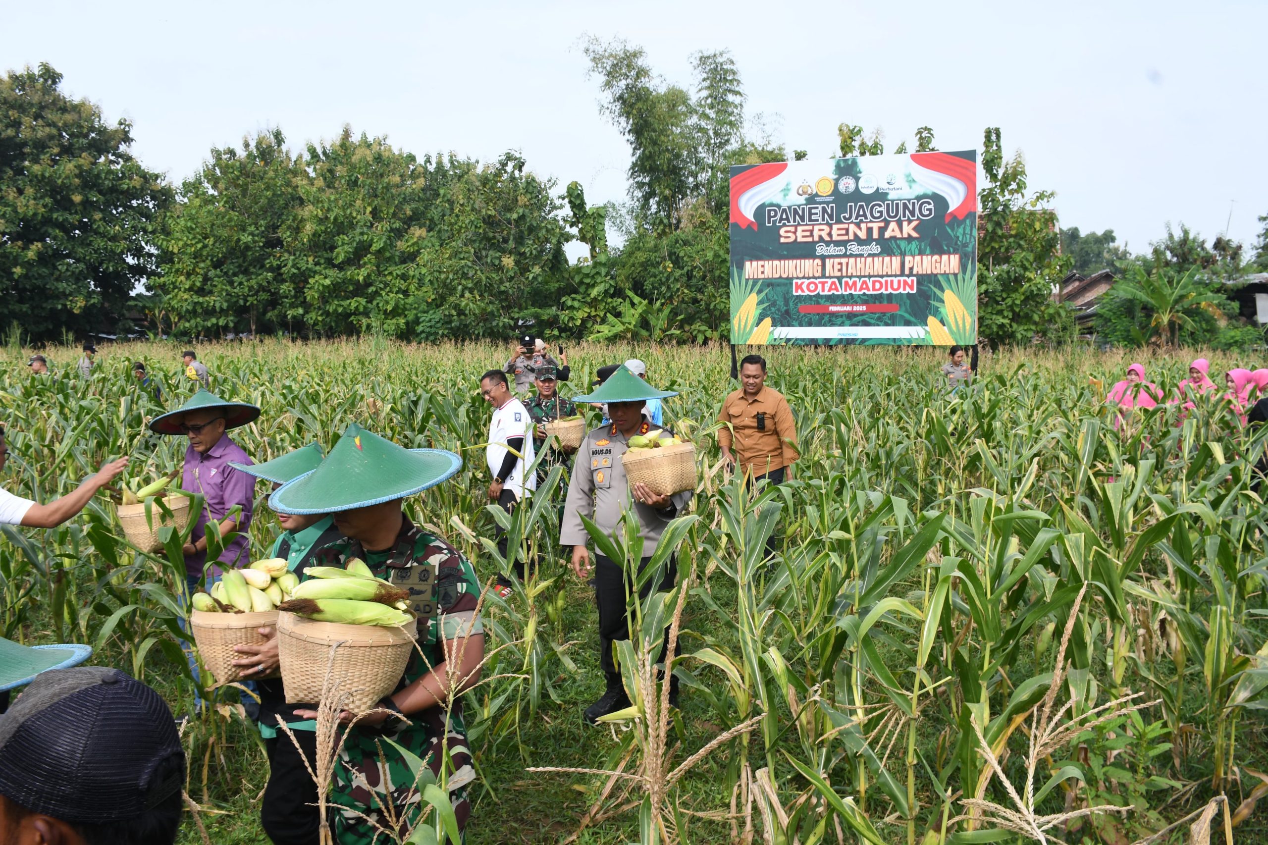 Polres Madiun Kota Panen Raya Jagung Untuk Dukung Ketahanan Pangan Nasional