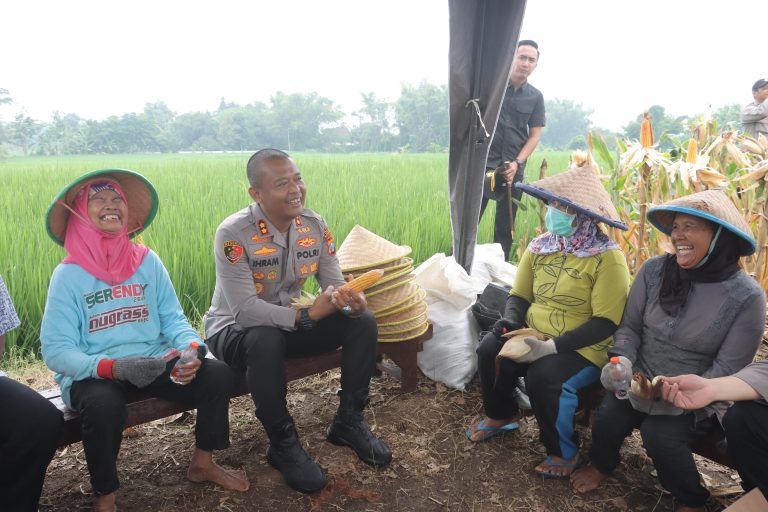 Usai Curhat ke Kapolres Mojokerto Petani Jagung Lega Hasil Panen Diserap Bulog Sesuai HPP