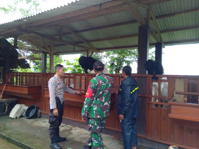 Bhabinkamtibmas dan Babinsa Sambangi Peternak Kambing di Desa Temon, Dukung Ketahanan Pangan Melalui Sektor Peternakan