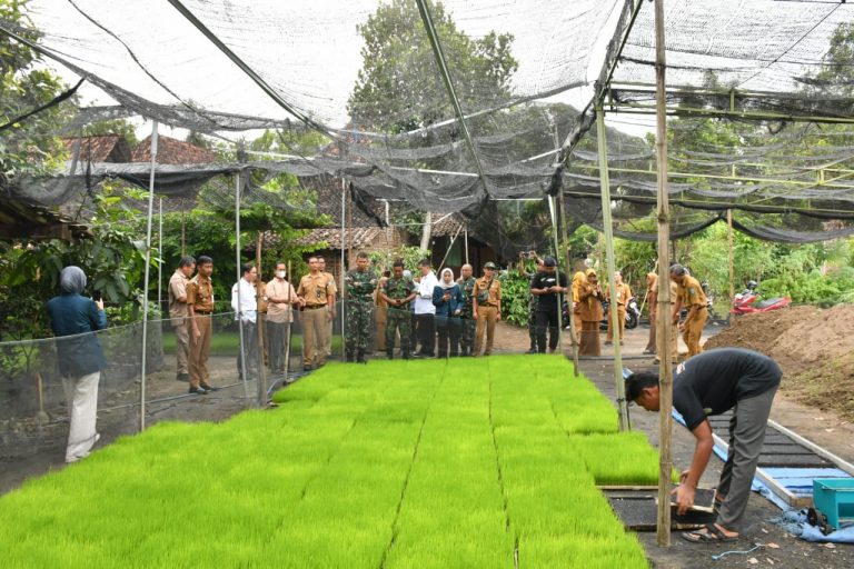 Dandim Ponorogo Dampingi Dirjen Tanaman Pangan Minitoring Percepatan LTT