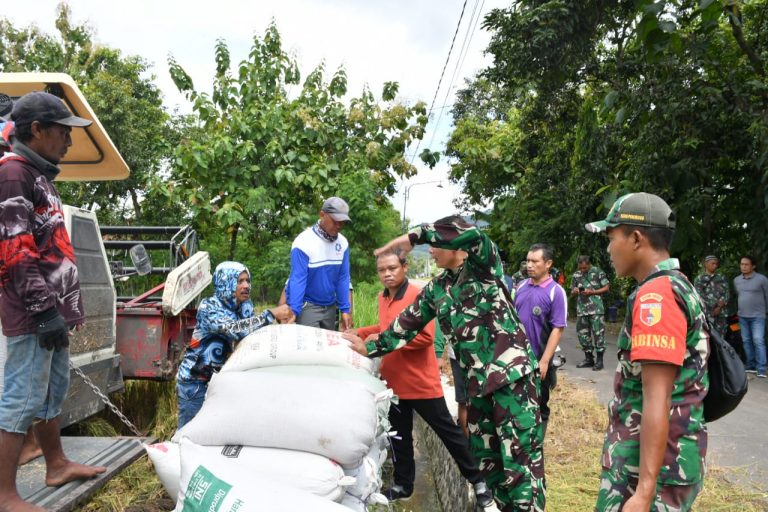 Komitmen Sukseskan Program Sergap, Dandim Ponorogo Terus Blusukan ke Sawah