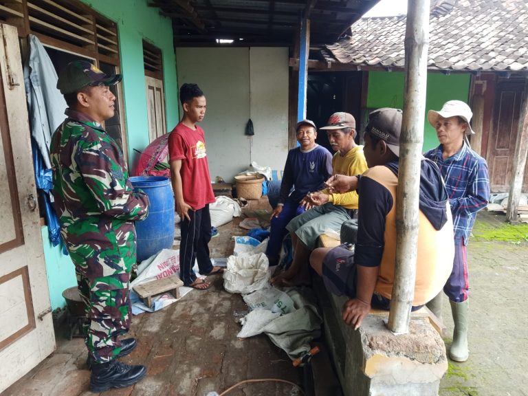 Sukseskan Program Sergap, Babinsa Kodim Ponorogo Komsos Dengan Petani
