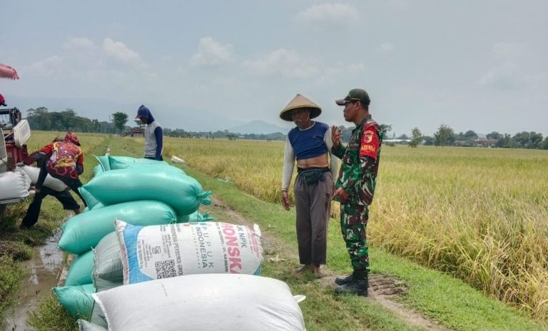 Sosialisasi Sergab, Upaya Babinsa Kodim Ponorogo Sejahterakan Petani