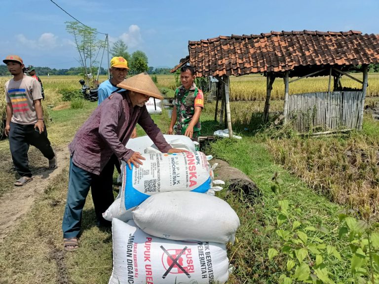 Sergab Petani, Babinsa Kodim Ponorogo Gencarkan Komsos di Wilayah Desa Binaan