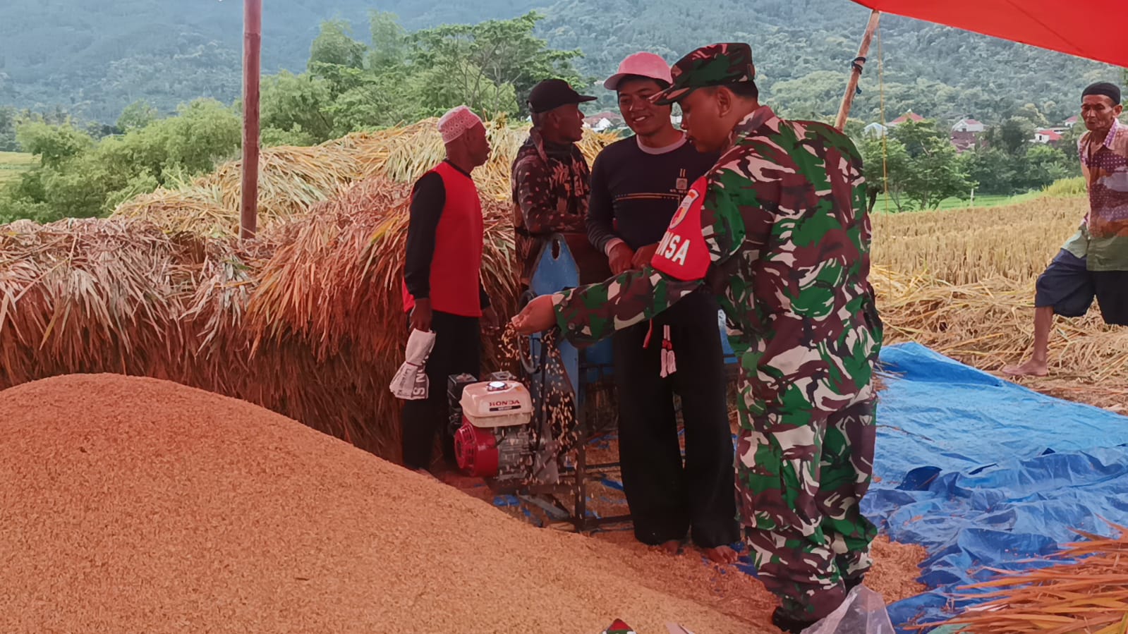 Kawal Program Sergab, Upaya Babinsa Kodim Ponogogo Sukseskan Han Pangan