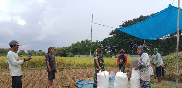 Komsos Sergab, Babinsa Kodim Ponorogo Ajak Petani Jual Sesuai Harga Pemerintah