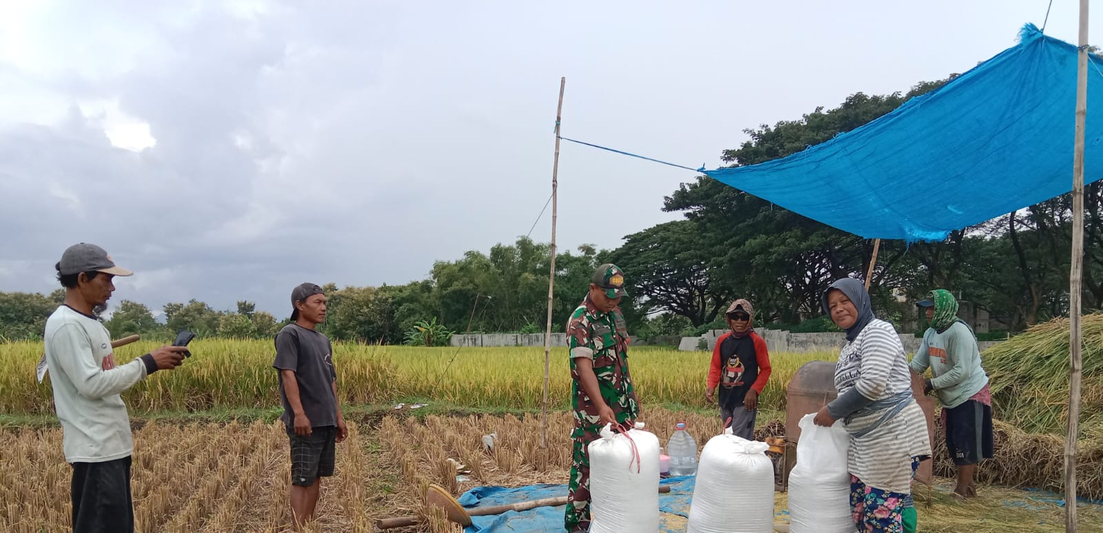 Komsos Sergab, Babinsa Kodim Ponorogo Ajak Petani Jual Sesuai Harga Pemerintah