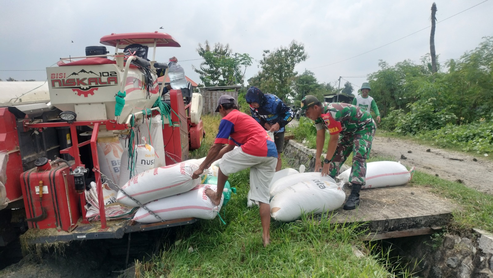 Anggota TNI Kodim Ponorogo Pendampingan Panen Padi dan Sosialisasi Sergab