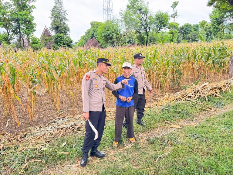 Kapolsek Sawoo Dorong Ketahanan Pangan Melalui Program Pekarangan Pangan Bergizi