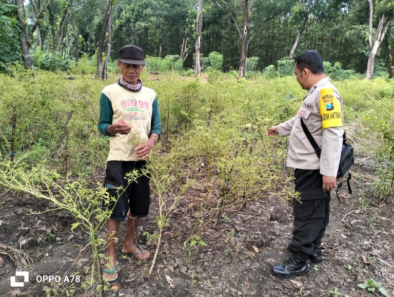 Bhabinkamtibmas Desa Kedungbanteng Dukung Ketahanan Pangan, Cek Pekarangan Pangan Bergizi