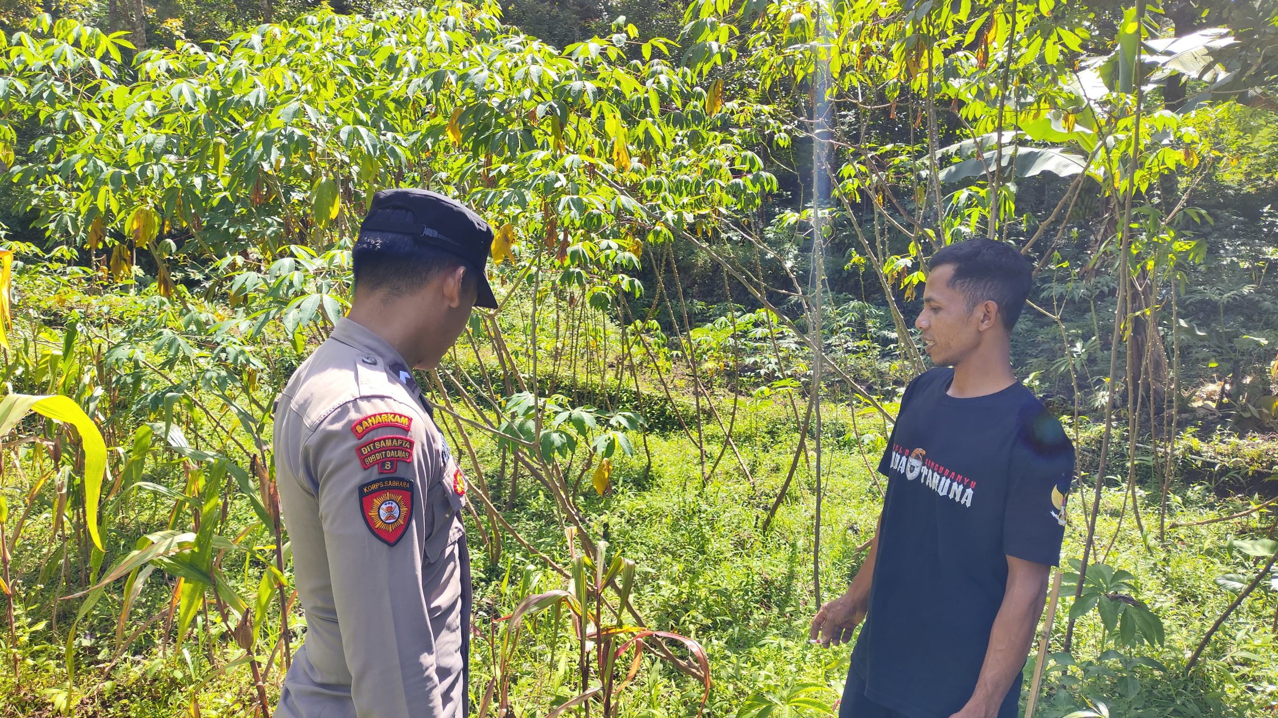 Dukung Swasembada Pangan, Bhabinkamtibmas Desa Gondowido Cek Lahan Ketela dalam Program Pekarangan Pangan Bergizi Polsek Ngebel Polres Ponorogo Polda Jawa Timur