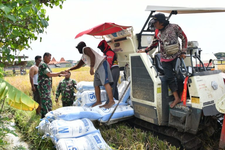 Pastikan Sergab Petani Sesuai Target, Dandim Ponorogo Tinjau Langsung ke Sawah
