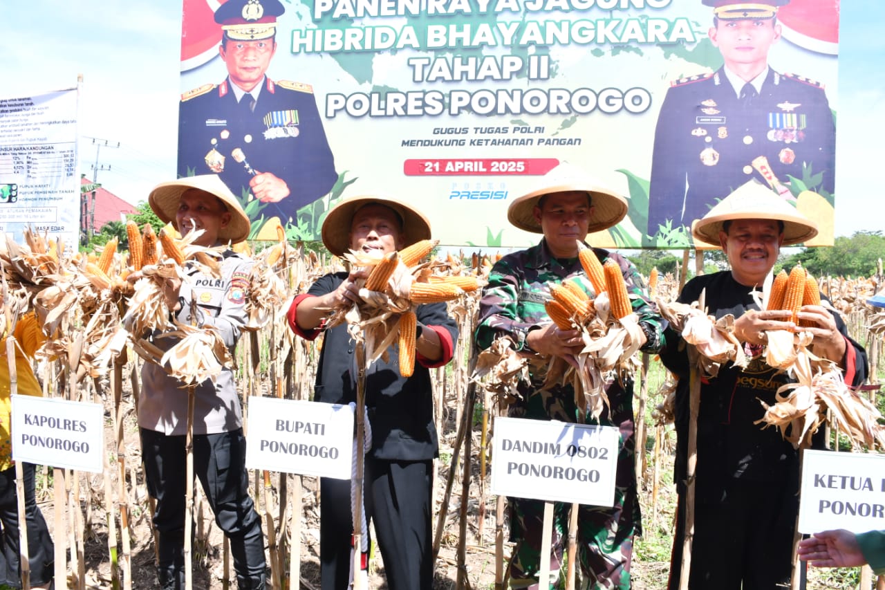 Dandim Ponorogo Hadiri Panen Raya Jagung Hibrida Bhayangkara Tahap II Polres Ponorogo