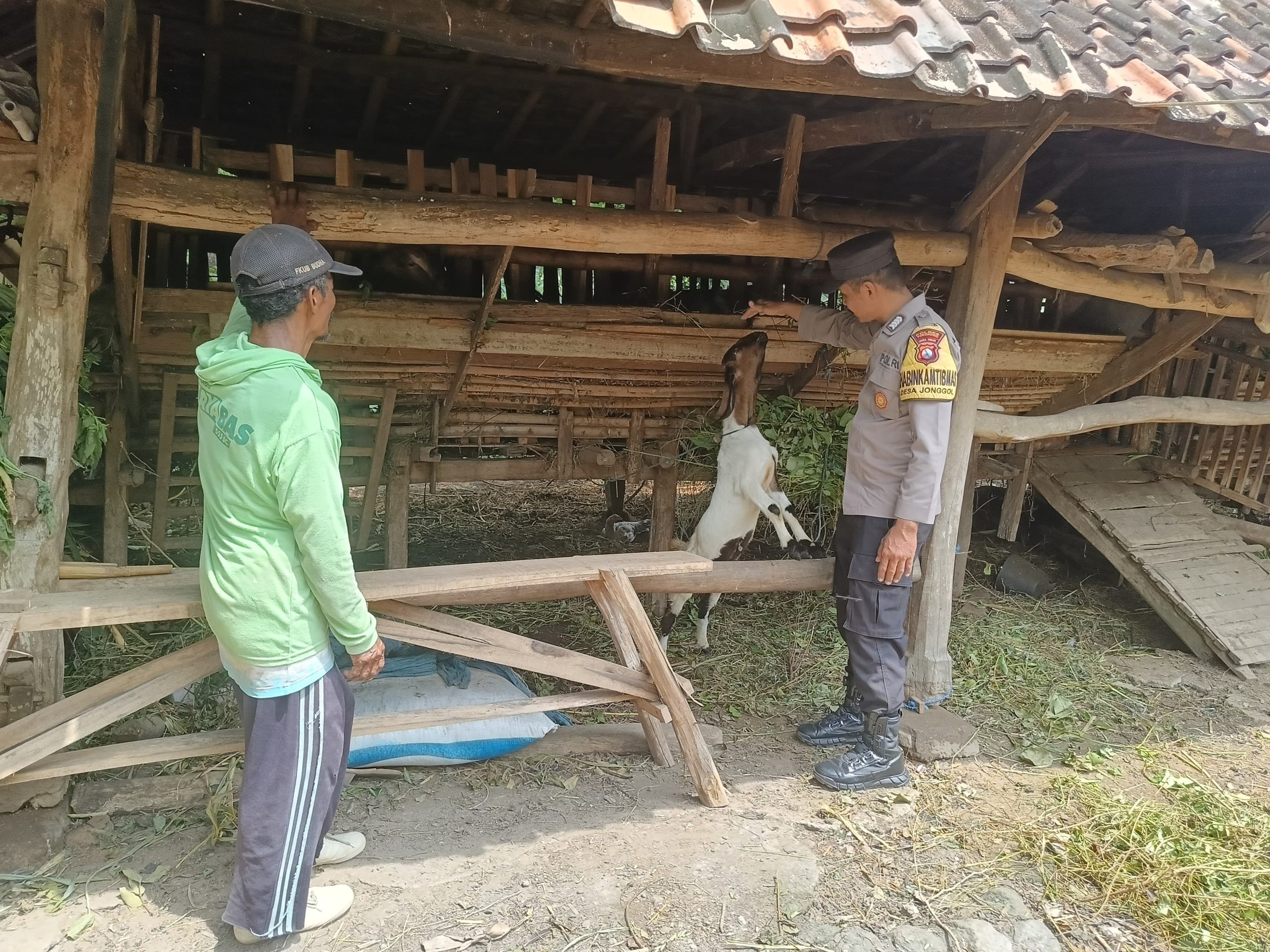Polres Ponorogo Dukung Ketahanan PanganBhabinkamtibmas Desa Jonggol Aktif Jalankan Program Pekarangan Bergizi di Sektor Peternakan