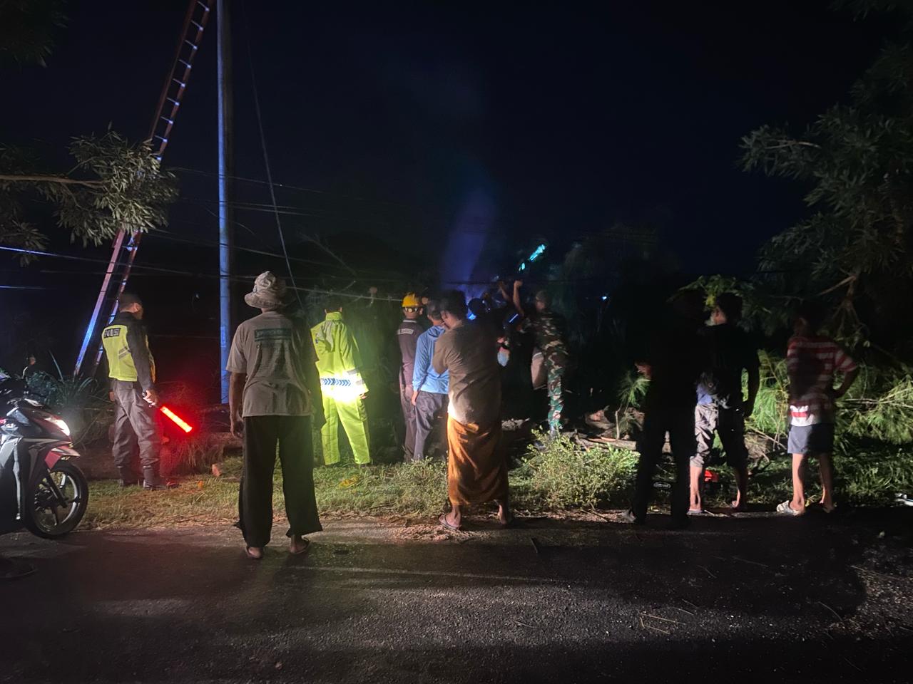 Pohon Tumbang Akibat Hujan Deras Disertai Angin di Ngrandu, Personel Gabungan TNI-Polri dan PLN Lakukan Penanganan Cepat