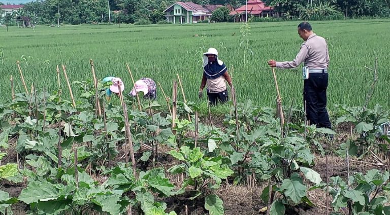 Polmas Desa Duri Dukung Pekarangan Bergizi, Polres Ponorogo Dorong Pemanfaatan Lahan untuk Ketahanan Pangan