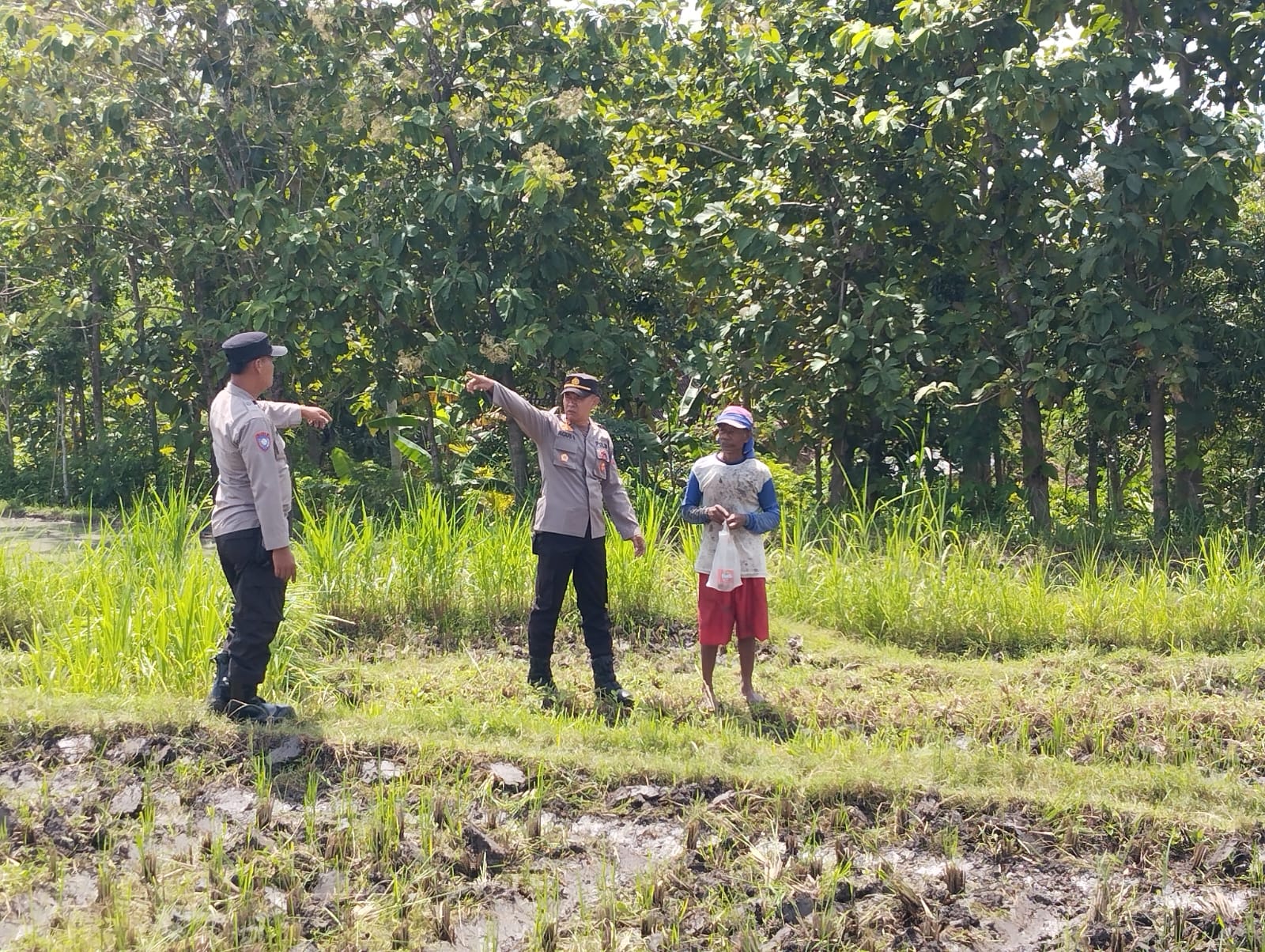 Polres Ponorogo Dukung Program Ketahanan Pangan Kapolsek Sampung dan Bhabinkamtibmas Tinjau Langsung Lahan Calon Tanam Jagung di Desa Binaan