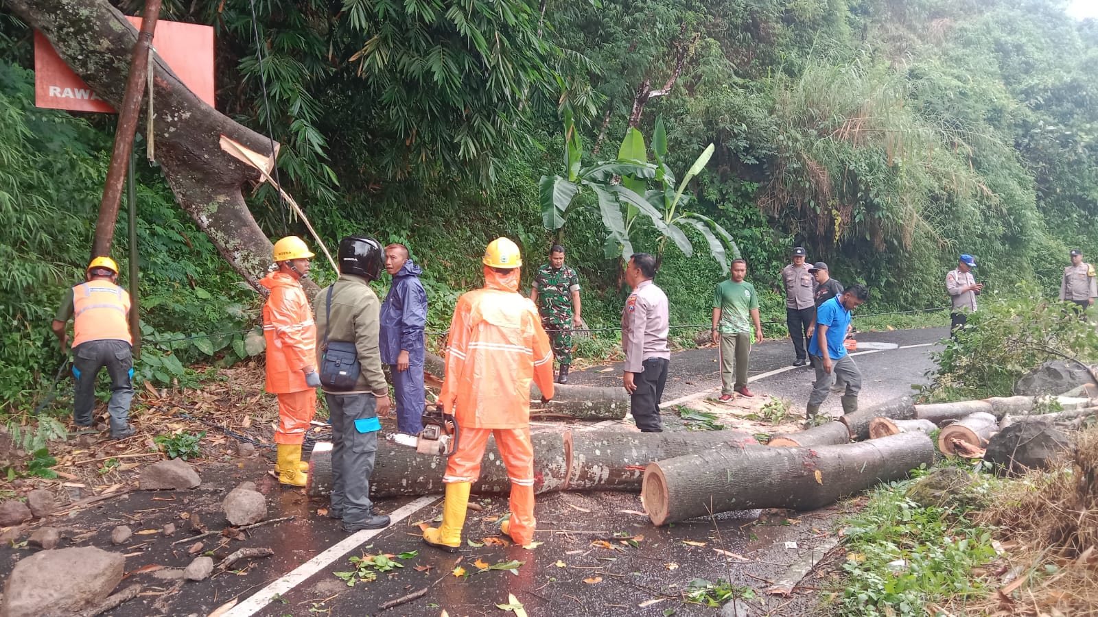 Pohon Tumbang Menutup Jalan, TNI – Polri di Ponorogo Sigap Atasi
