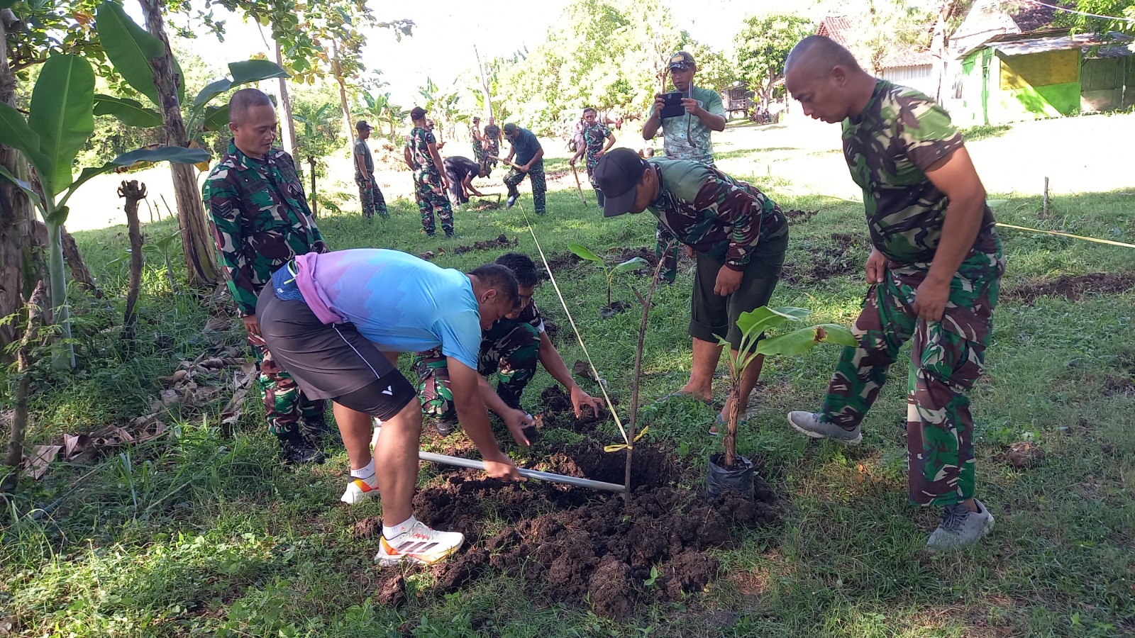 Perkuat Pilot Project Han Pangan, Dandim Ponorogo Pimpin Tanam Bibit Pisang Cavendish