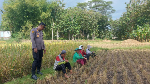 Kapolsek Sukorejo Sambang Dialogis dengan Para Petani