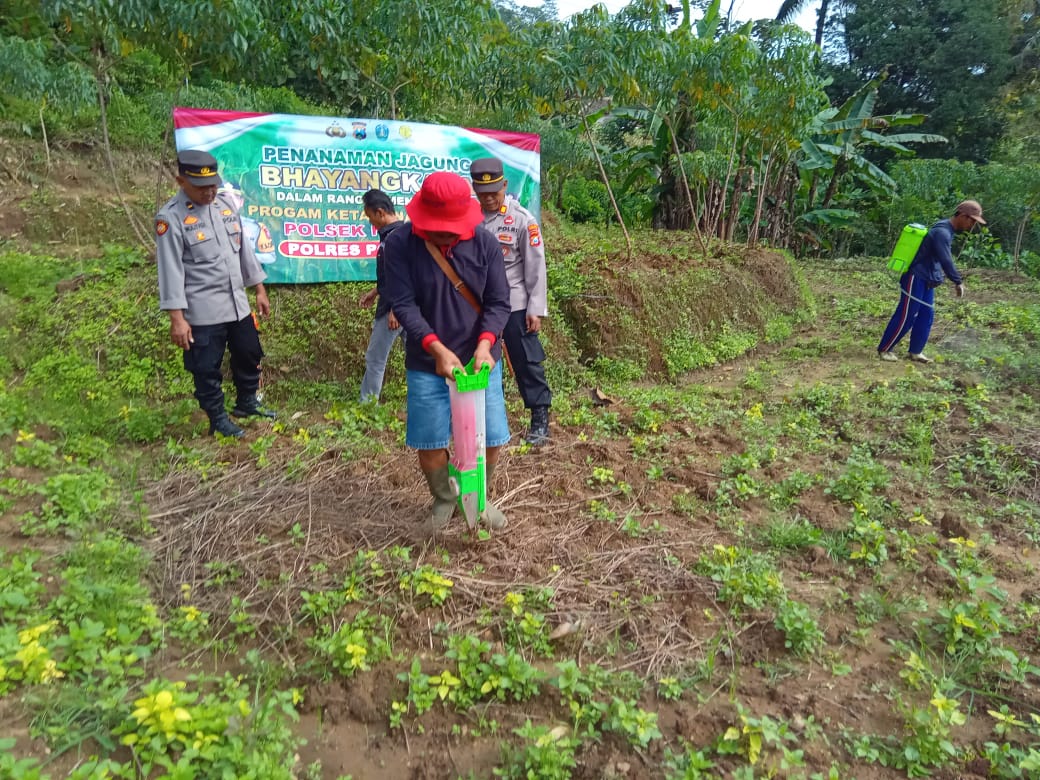 Polres Ponorogo Dukung Ketahanan Pangan, Polsek Ngrayun Salurkan Bibit Jagung Bhayangkara untuk Warga Desa Baosan Lor