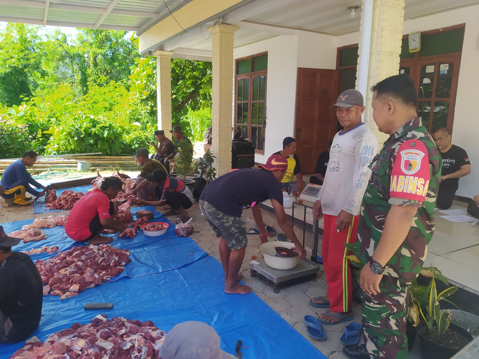 Idul Adha 1446 H, Babinsa Kodim Ponorogo Ikut Aktivitas Penyembelihan Hewan Kurban Bersama Warga