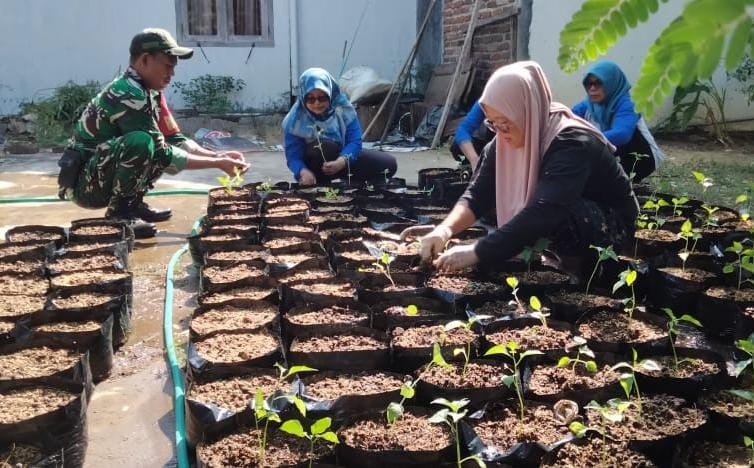 Babinsa Kodim Ponorogo Pendampingan Program Pangan Lestari