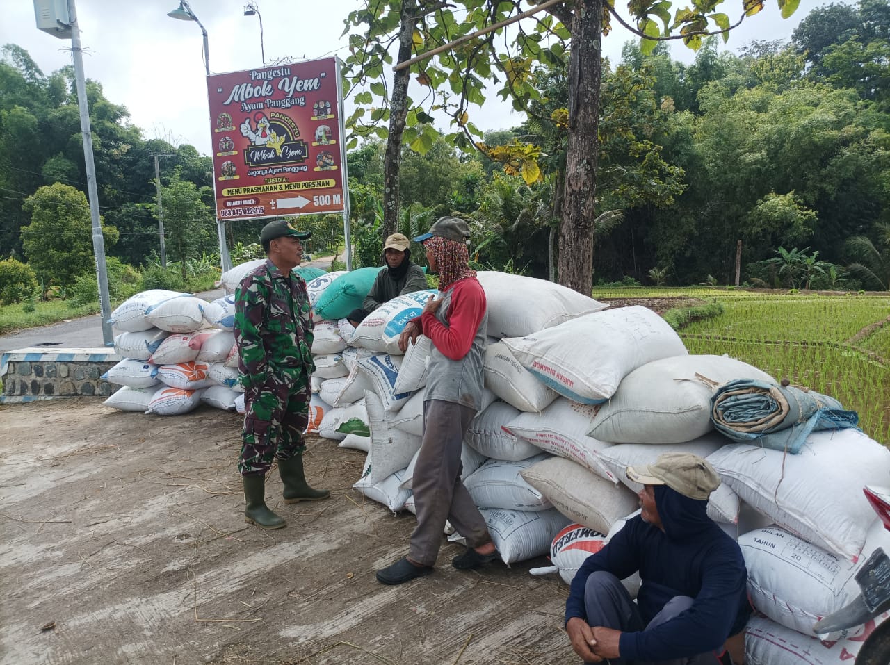 Pendampingan dan Pengawalan Petani Tugas Rutin Babinsa Kodim Ponorogo