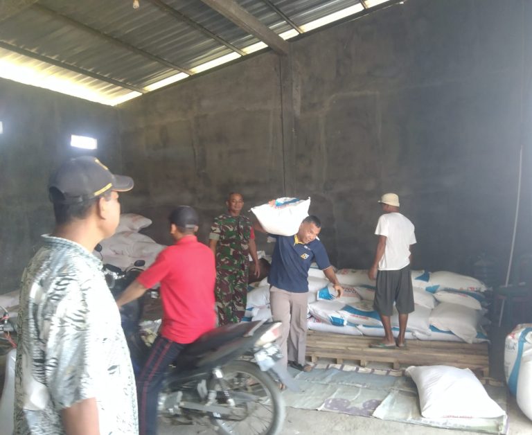 Pendampingan Petani, Babinsa Kodim Ponorogo Pantau Ketersediaan Pupuk Bersubsidi