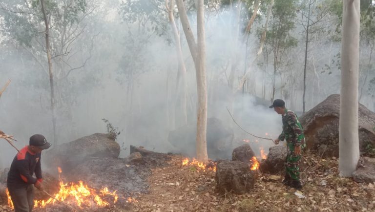 Reaksi Cepat Babinsa Kodim Ponorogo Bantu Padamkan Kebakaran Hutan