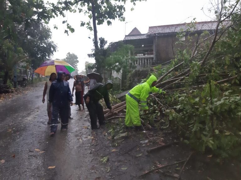 Pohon Tumbang Hadang Jalan, TNI, Polri dan Warga Lakukan Evakuasi