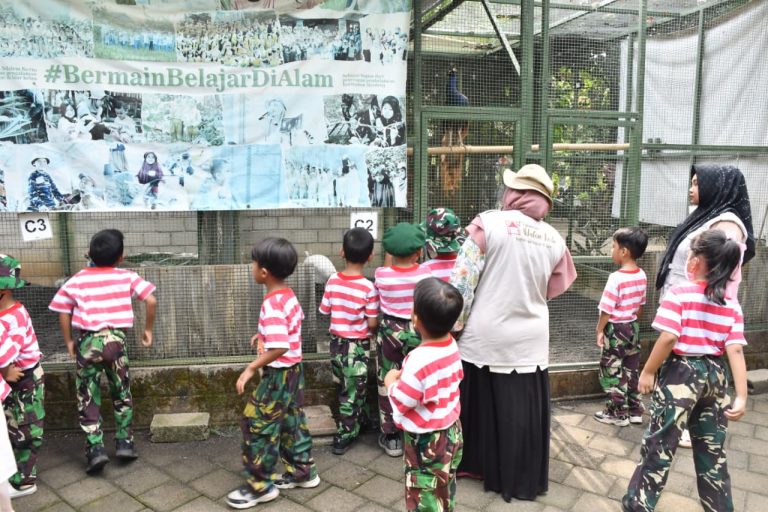 Eduwisata, TK Kartika IV-20 Ponorogo Kunjungi Penangkaran Burung Merak