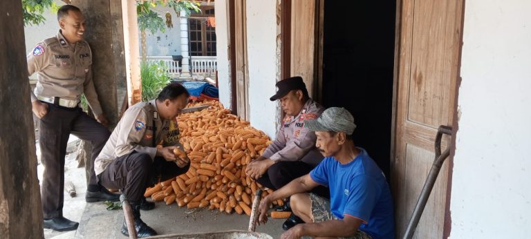 Patroli Sambang Dengan Warga Masyarakat Saat Panen Jagung