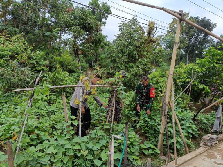Bhabinkamtibmas Desa Tambang Lakukan Monitoring Pertanian dan Peternakan Dukung Ketahanan Pangan Nasional