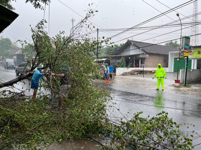 POHON TUMBANG AKIBAT HUJAN DERAS DI WILAYAH BUNGKAL, POLSEK SIGAP LAKUKAN EVAKUASI
