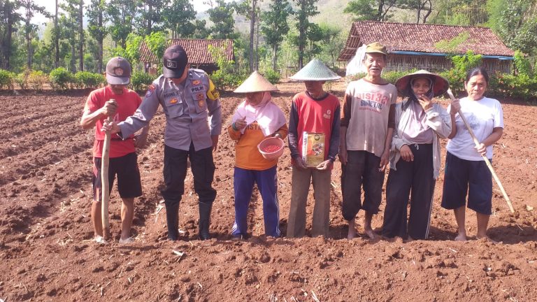 Bhabinkamtibmas Desa Prayungan Polsek Sawoo Dukung Program Ketahanan Pangan Melalui Penanaman Jagung