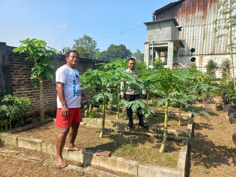 Bhabinkamtibmas Desa Sukosari Babadan Laksanakan Monitoring Bibit Tanaman Dukung Program Ketahanan Pangan