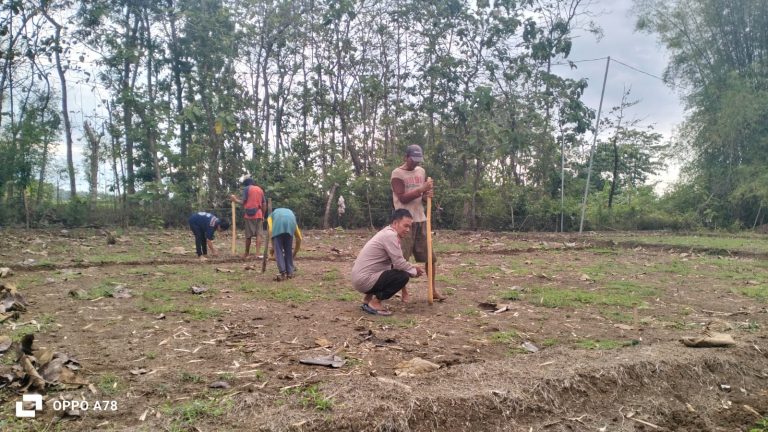 Polres Ponorogo Dukung Ketahanan Pangan, Polsek Sukorejo Bersama Petani Tanam Benih Jagung Bhayangkara