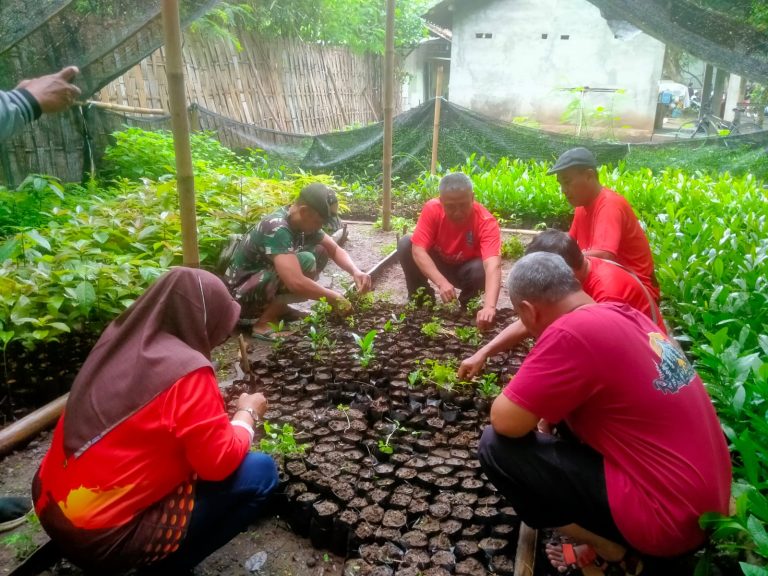 Galakkan Penghijauan, Kodim Ponorogo dan Dishut CDK Pacitan Tingkatkan Kerjasama Pembuatan Bibit