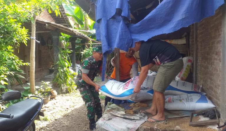 Pendampingan, Babinsa Cek Ketersediaan Pupuk Bagi Para Petani