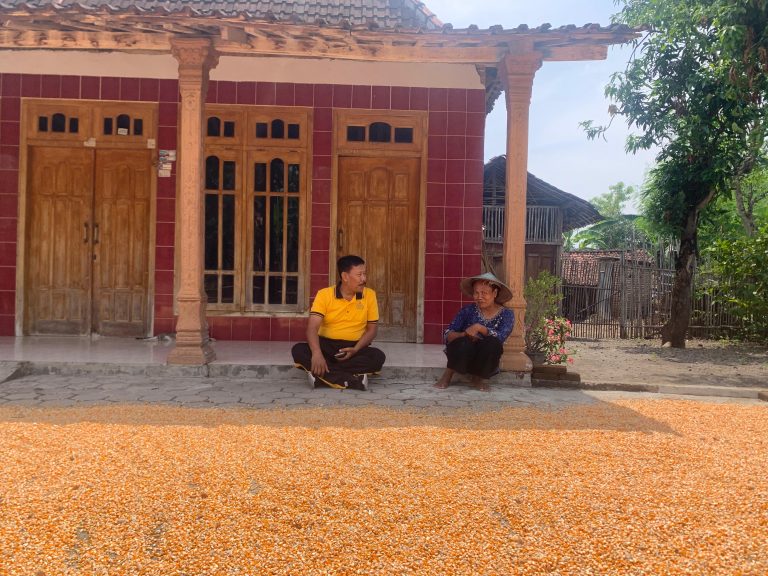 Polres Ponorogo, Waka Polsek Somoroto Dukung Ketahanan Pangan, Dan ikut Langsung Memantau hasil panen jagung di Desa Tegalombo.