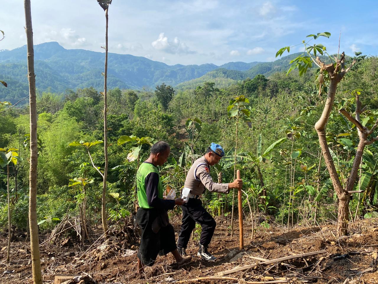 Polsek Slahung Dalam Rangka Satu Hektar Satu BBKTM Laksanakan Giat Penanaman Benih Jagung Bhayangkara Hibrida