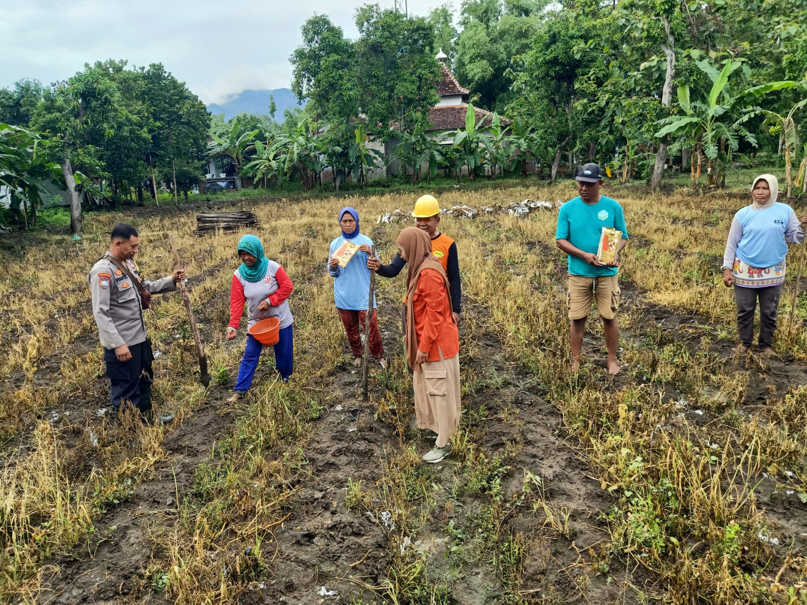 Bhabinkamtibmas Sambit Dampingi Petani Tanam Jagung Benih Bhayangkara