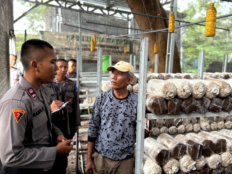 ‘Live In’ : Siswa Diktukba SPN Polda Jatim Edukasi Budidaya Bandeng dan Jamur di Gresik