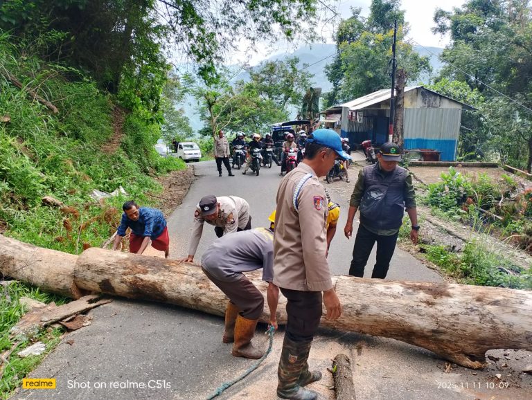 POLSEK NGRAYUN GELAR AKSI PEMBERSIHAN POHON KERING DEMI KESELAMATAN PENGGUNA JALAN