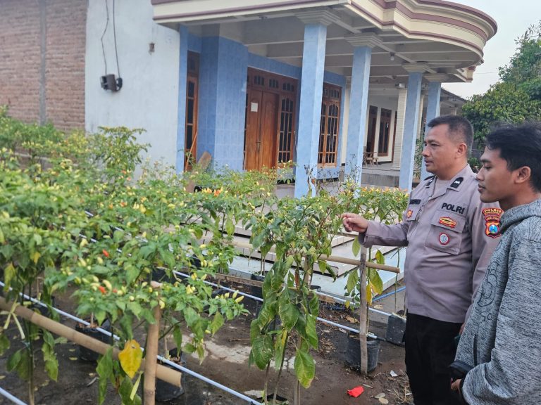 Bhabinkamtibmas Desa Ketonggo Monitoring Sayur-Mayur Rumahan Dukung Ketahanan Pangan Warga